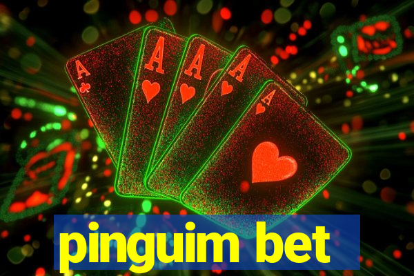 pinguim bet